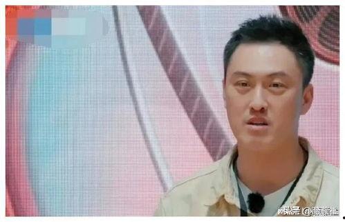 娱乐圈的吃瓜影帝最新